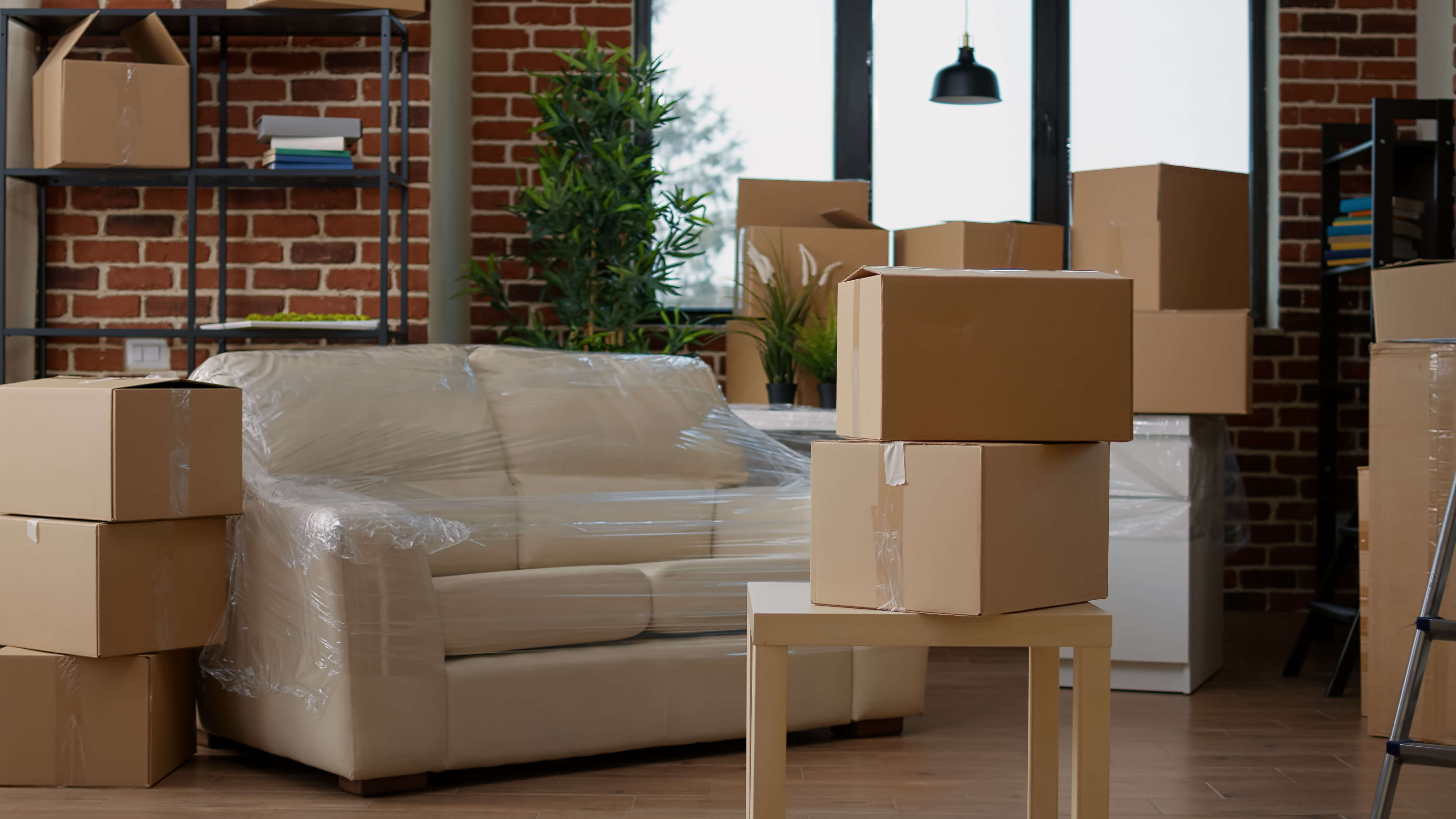 Packing Service